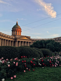 View of flowering plants against cloudy sky