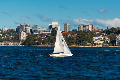 Boat with white sail, yacht sailing sydney harbour on sunny day