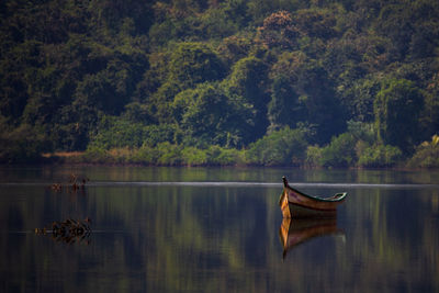 Scenic view of lake against trees in forest