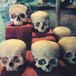 Human skull on stone wall during halloween