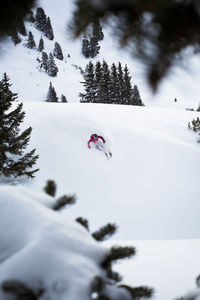 Person skiing