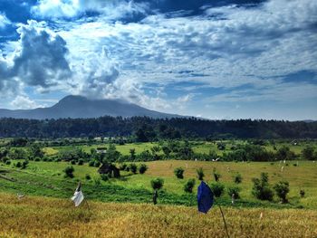 Scenic view of grassy field against sky