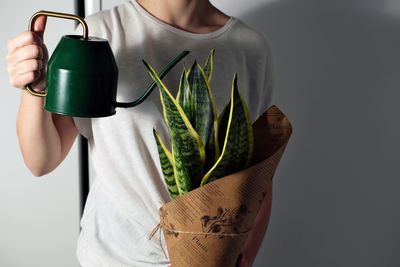 Midsection of woman holding potted plant