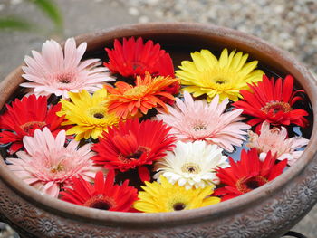 Close-up of flowers