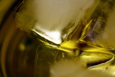 Close-up of beer in glass