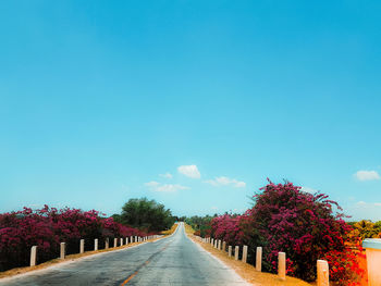Road amidst trees against sky