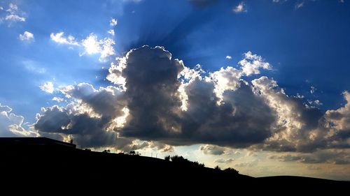 Low angle view of silhouette plants against sky