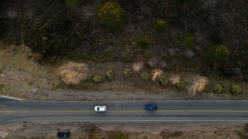 High angle view of cars on road