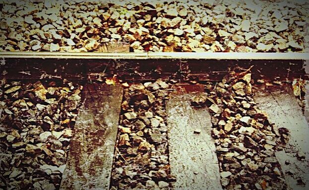 railroad track, rail transportation, transportation, railroad tie, gravel, day, outdoors, stone - object, leaf, no people, nature, close-up