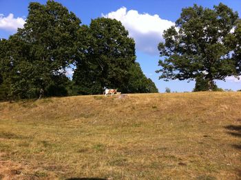 Scenic view of grassy field against cloudy sky