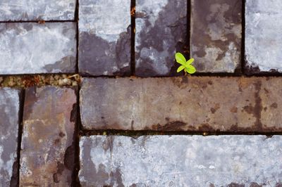 Full frame shot of stone wall