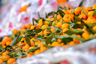 Close-up of yellow flowering plant leaves in market