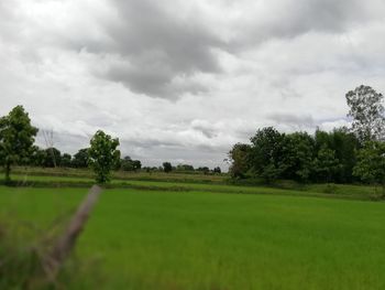 Scenic view of agricultural field against sky