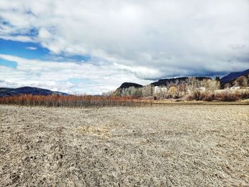 Scenic view of field against sky