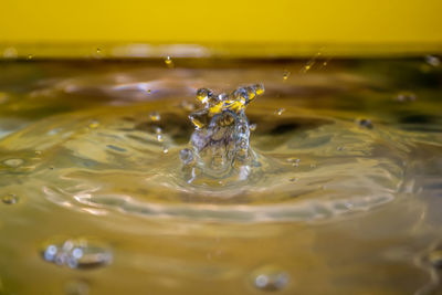 Close-up of drop falling in water