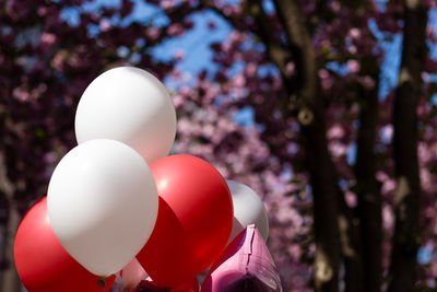 Close-up of balloons against trees