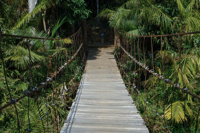 Footpath amidst trees in forest