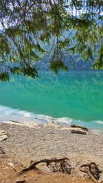 Scenic view of beach