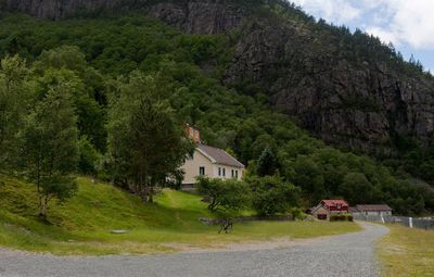 Road amidst trees and buildings against mountain