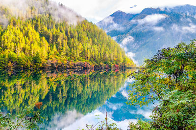 Scenic view of forest mountains and river