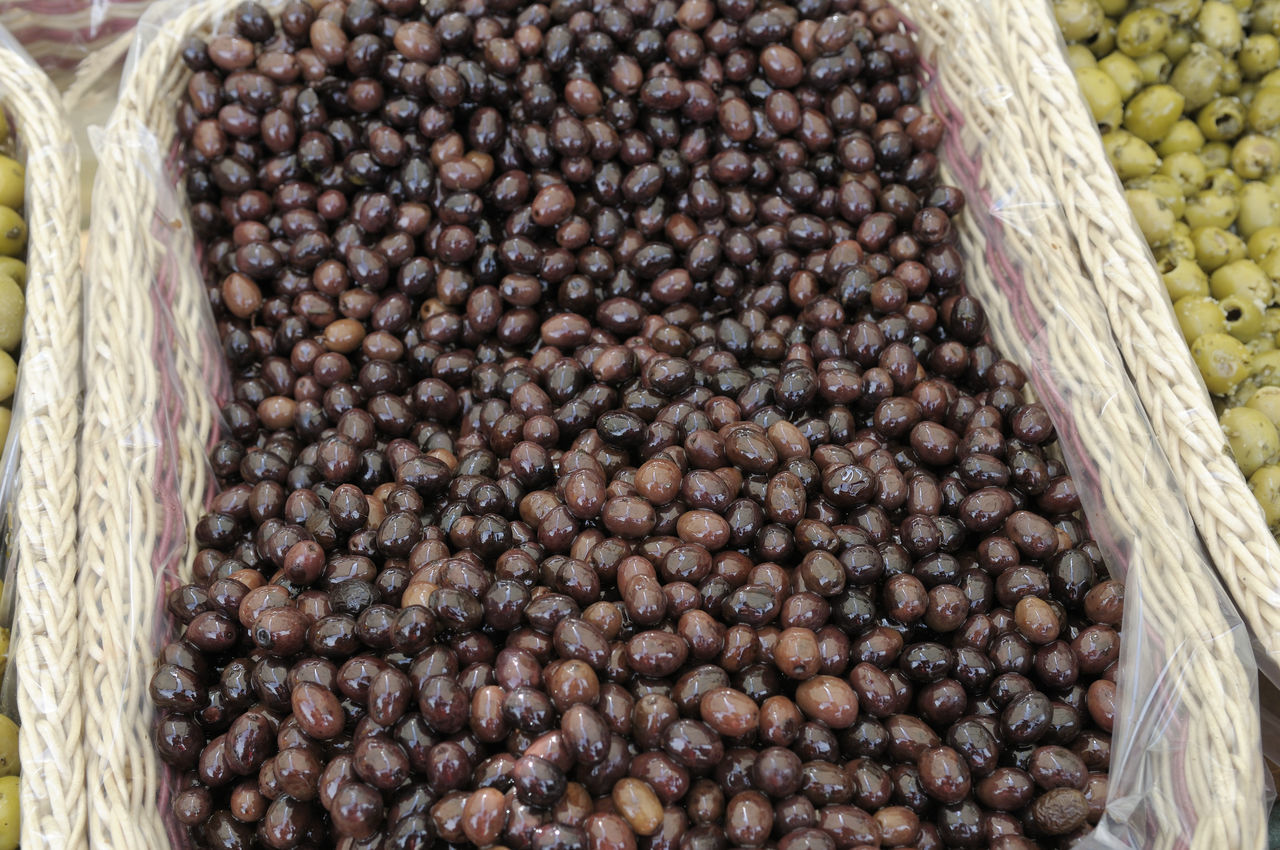 HIGH ANGLE VIEW OF BLUEBERRIES