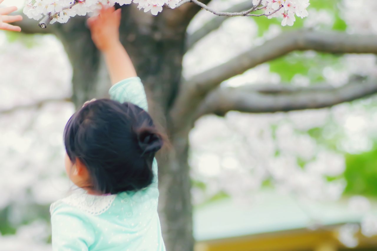 rear view, real people, one person, lifestyles, leisure activity, headshot, focus on foreground, tree, outdoors, day, nature