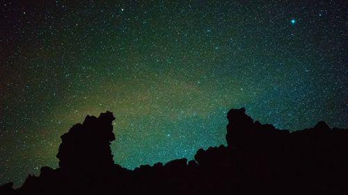 Low angle view of silhouette trees against sky at night