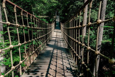 Footbridge in forest