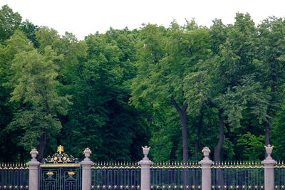 Panoramic view of trees and plants against sky