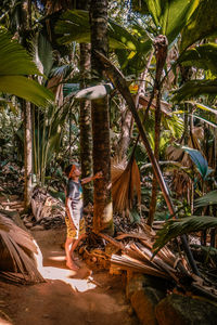 Man standing amidst palm trees in forest