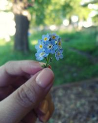 Close-up of hand holding flowers