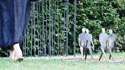 Rear view of horse walking on field