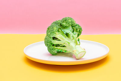 Close-up of broccoli in plate