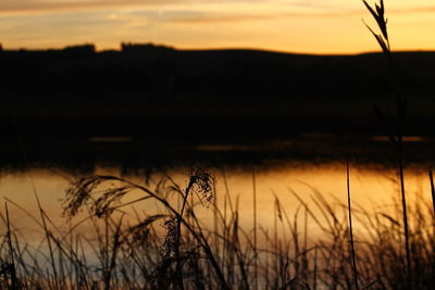 Scenic view of lake against sky during sunset