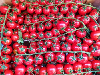 Full frame shot of red tomatoes