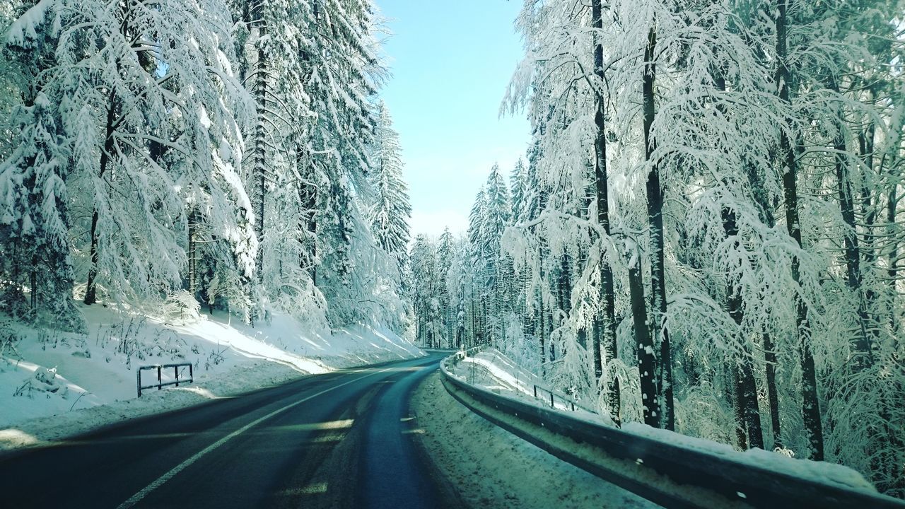 transportation, road, winter, cold temperature, the way forward, snow, tree, season, land vehicle, car, mode of transport, road marking, travel, diminishing perspective, day, travel destinations, outdoors, country road, nature, tranquil scene, vanishing point, scenics, empty road, blue, curve, sky