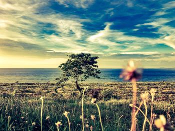 Scenic view of sea against sky