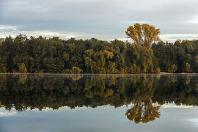 Reflection of trees in lake against sky