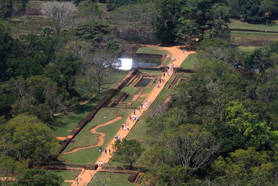 View of trees