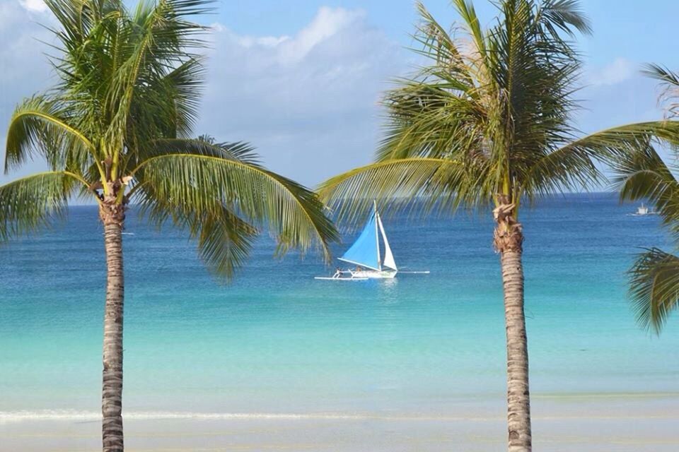 palm tree, sea, water, tree, horizon over water, sky, tranquility, blue, tranquil scene, beach, nature, nautical vessel, tree trunk, scenics, beauty in nature, boat, transportation, mode of transport, shore, growth