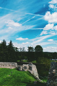 Trees on field against cloudy sky