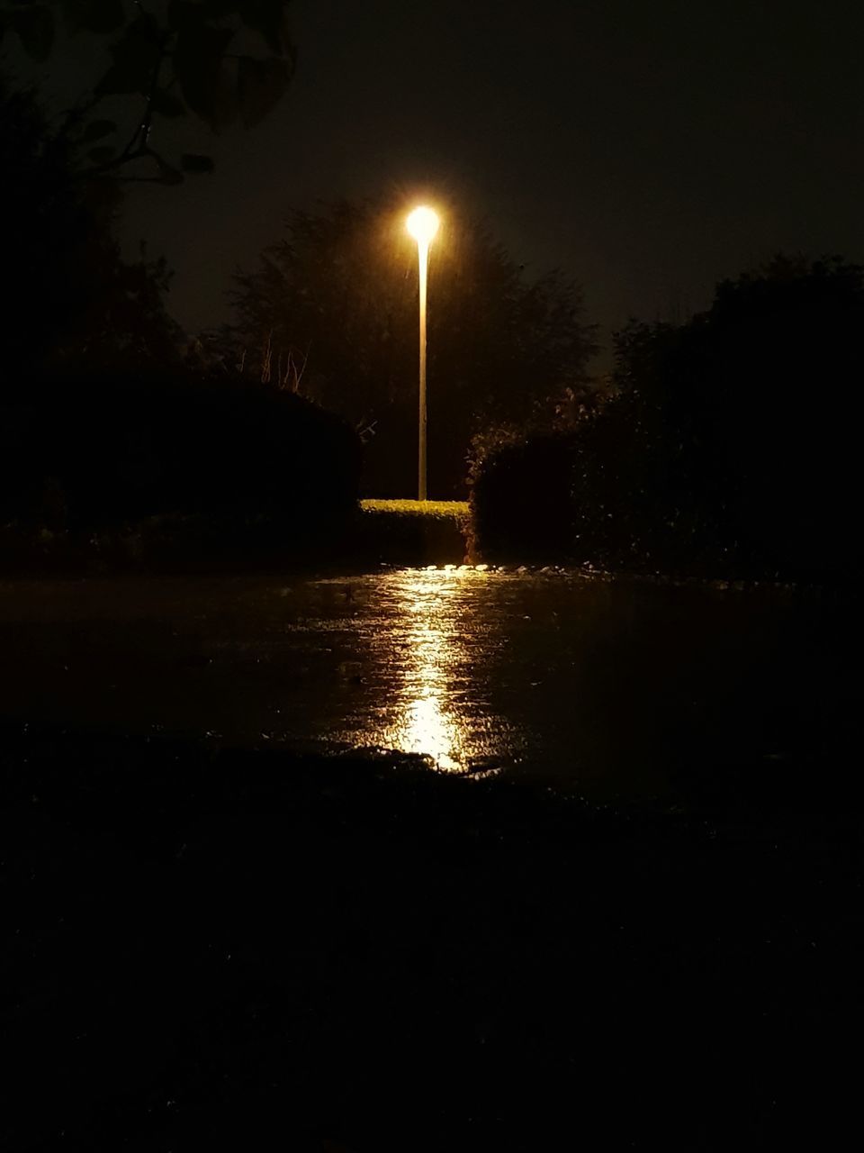 ILLUMINATED STREET BY LAKE AT NIGHT