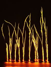 Illuminated lights at night