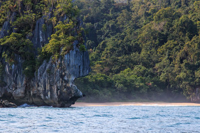 Scenic view of sea against trees