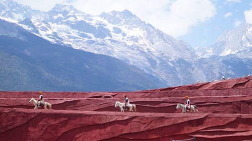 View of horse on snowcapped mountain against sky