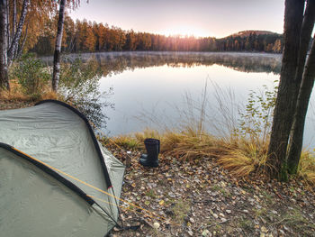 Tourist tent. camping bellow trees at the river bank. summer sunny morning at lake.