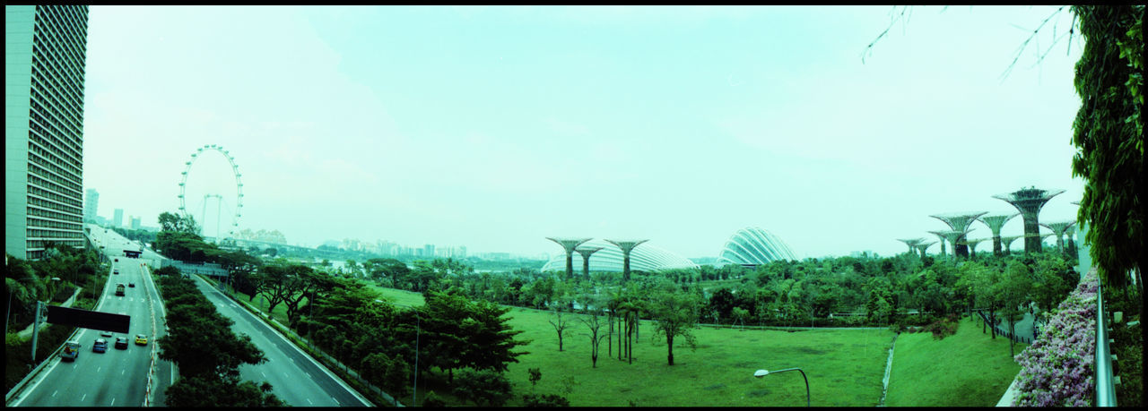 PANORAMIC SHOT OF PALM TREES BY PLANTS AGAINST SKY