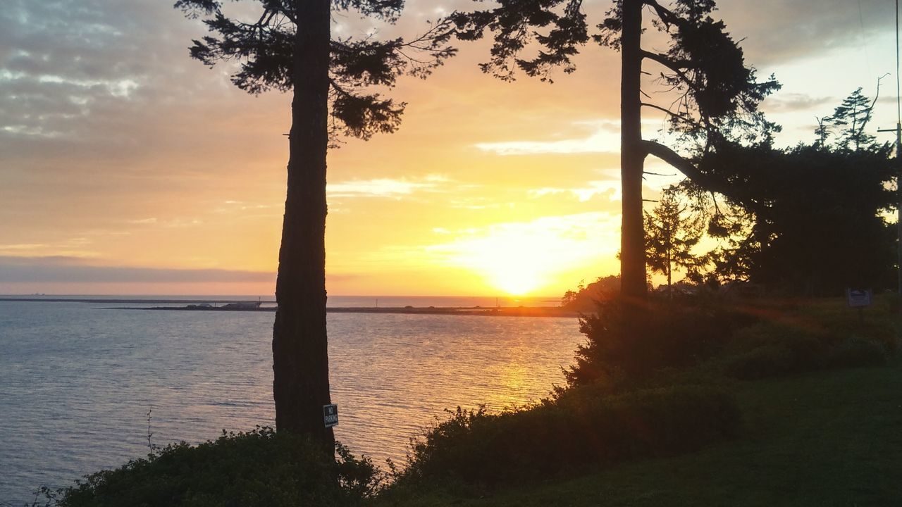 Dungeness Bay