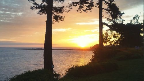 Scenic view of sea at sunset