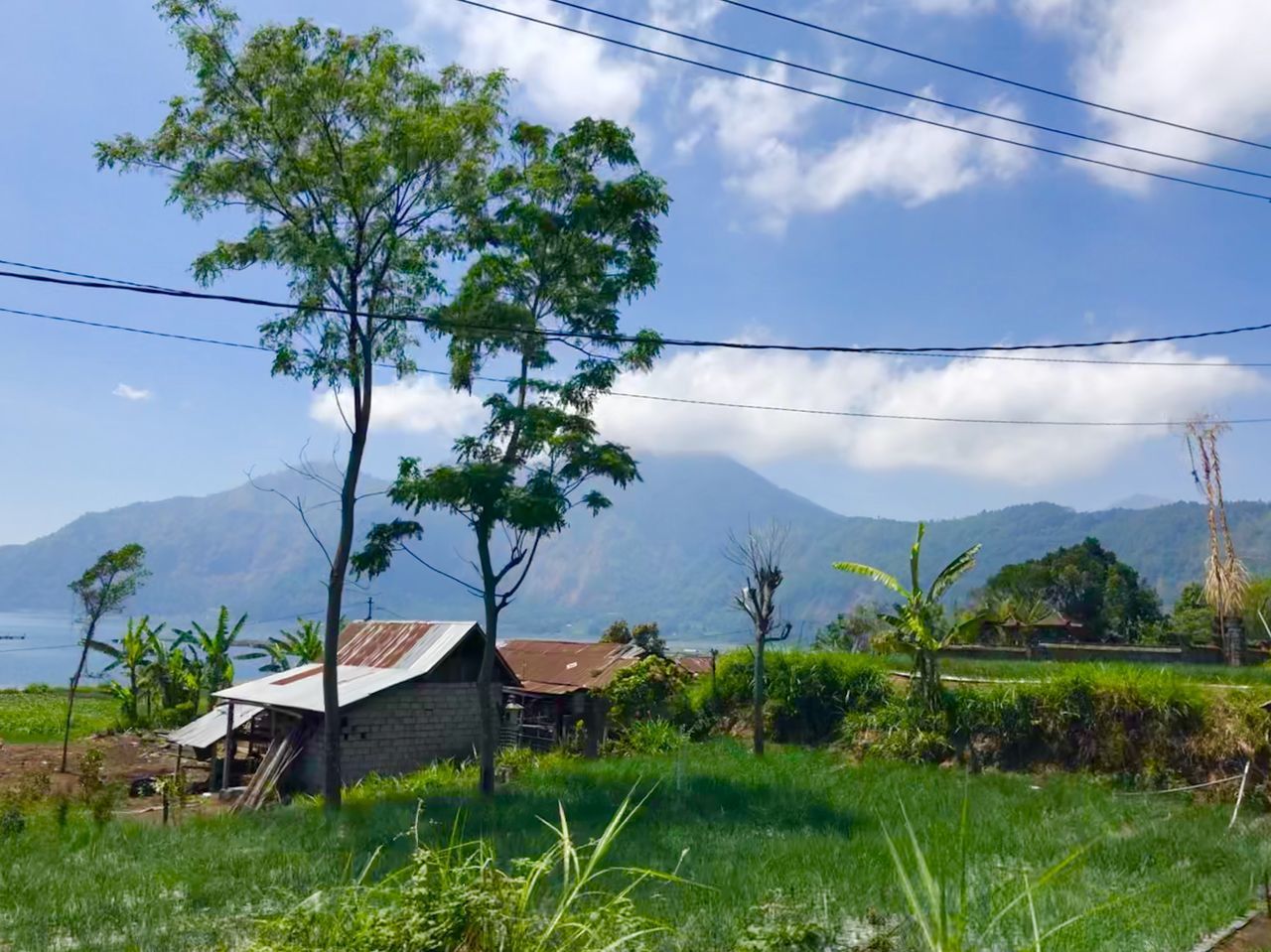 HOUSES ON FIELD AGAINST SKY